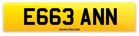 E663 ANN