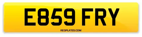 E859 FRY