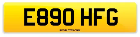 E890 HFG