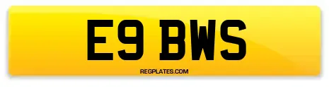 E9 BWS