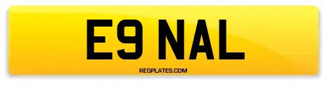 E9 NAL