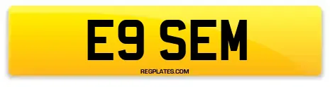 E9 SEM