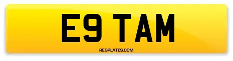 E9 TAM