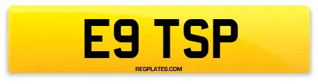 E9 TSP