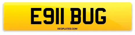 E911 BUG