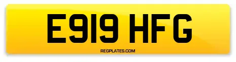 E919 HFG