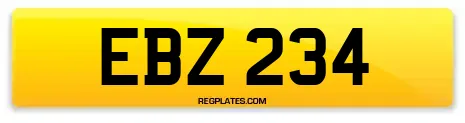 EBZ 234