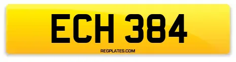 ECH 384
