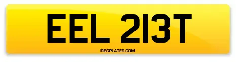 EEL 213T