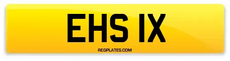 EHS 1X