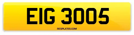 EIG 3005