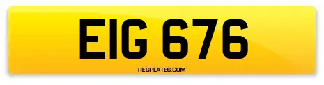 EIG 676