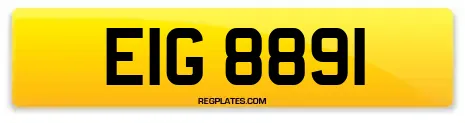EIG 8891