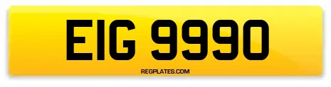 EIG 9990