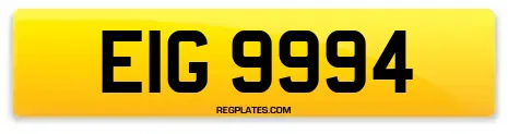 EIG 9994