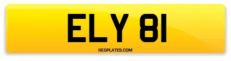 ELY 81