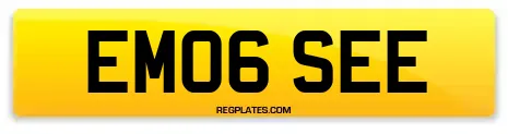 EM06 SEE