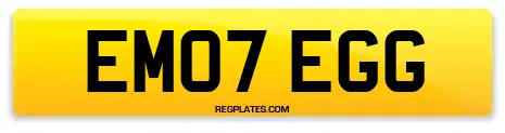 EM07 EGG