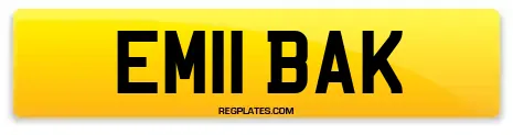 EM11 BAK