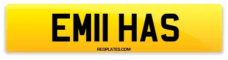EM11 HAS