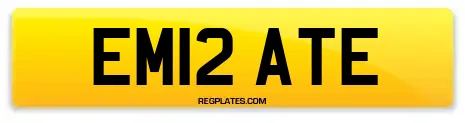 EM12 ATE