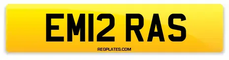 EM12 RAS