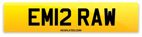 EM12 RAW