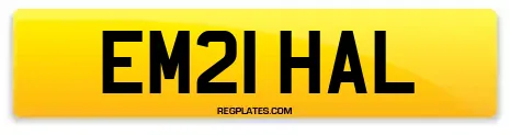 EM21 HAL