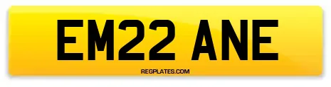 EM22 ANE