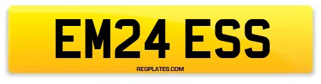 EM24 ESS