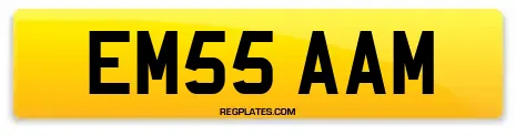 EM55 AAM