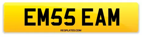 EM55 EAM