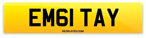 EM61 TAY