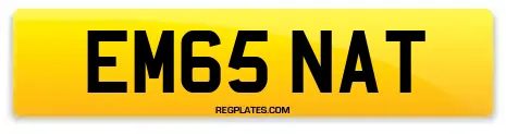 EM65 NAT