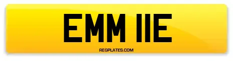EMM 11E