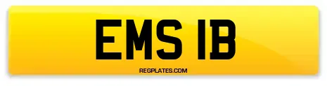 EMS 1B
