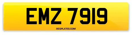 EMZ 7919