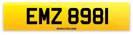 EMZ 8981