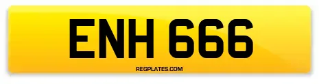 ENH 666