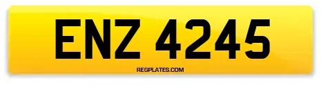 ENZ 4245