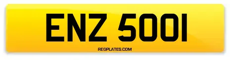 ENZ 5001