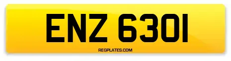 ENZ 6301