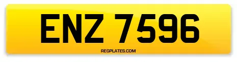ENZ 7596
