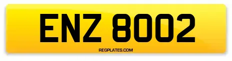 ENZ 8002