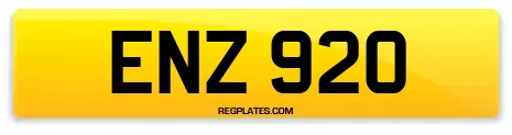 ENZ 920