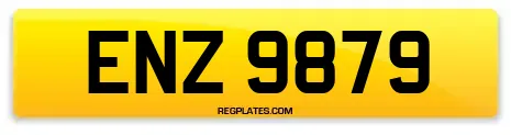 ENZ 9879