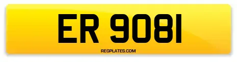 ER 9081