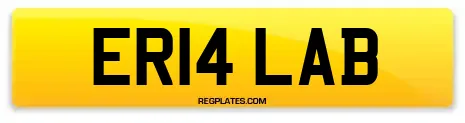 ER14 LAB