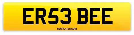 ER53 BEE
