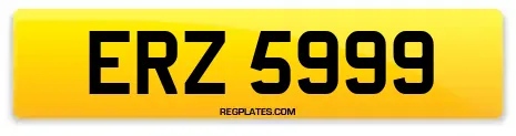 ERZ 5999